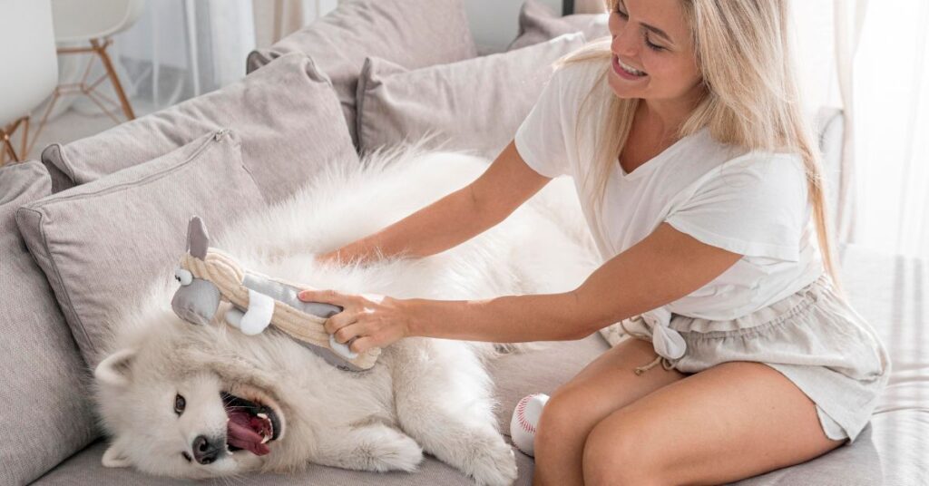 dog itchy skin relief