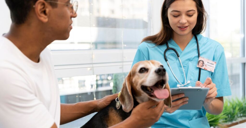 pet health certificate for travel