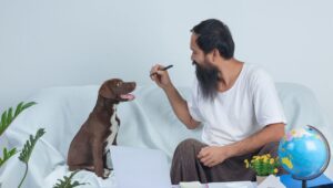 what dog products do I really need