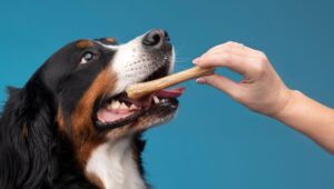 ceva clenz-a-dent proden plaqueoff