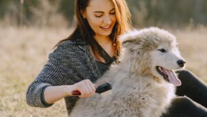 dermoscent essential 6 spot-on dog skin care