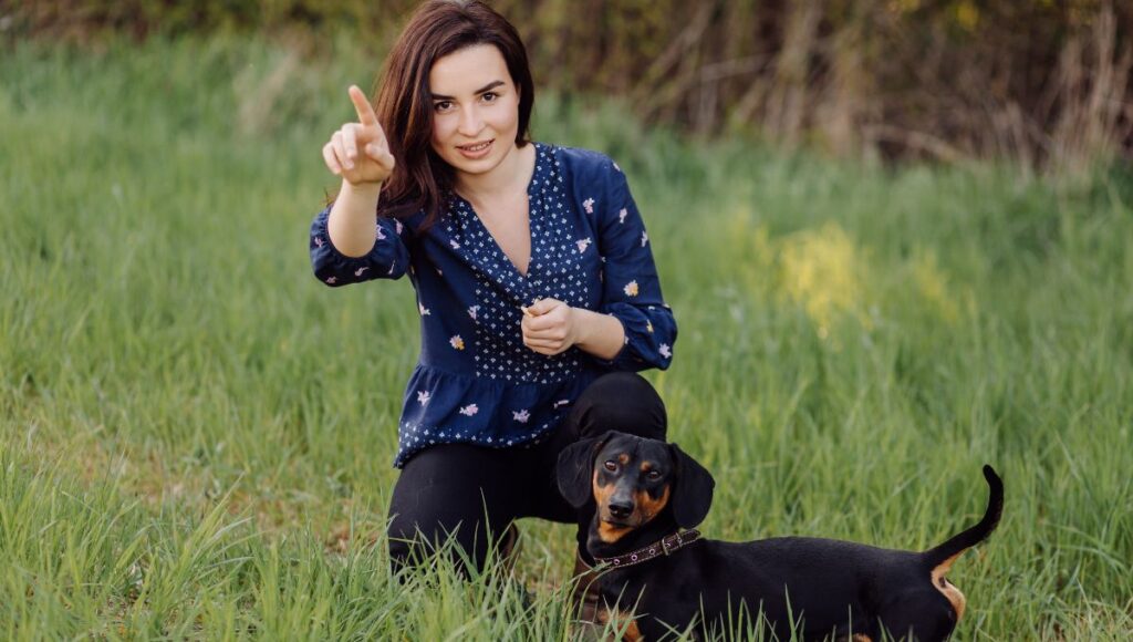 Belgian Malinois training