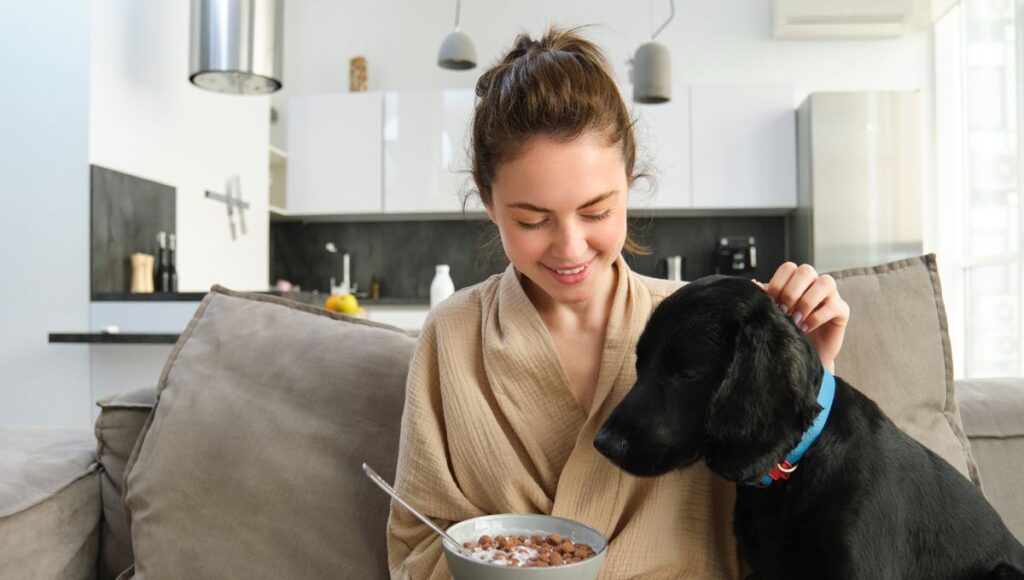 dog food for weight loss