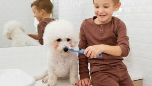 dog dental care products