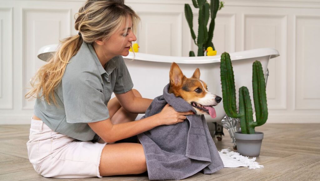 how to keep a puppy healthy