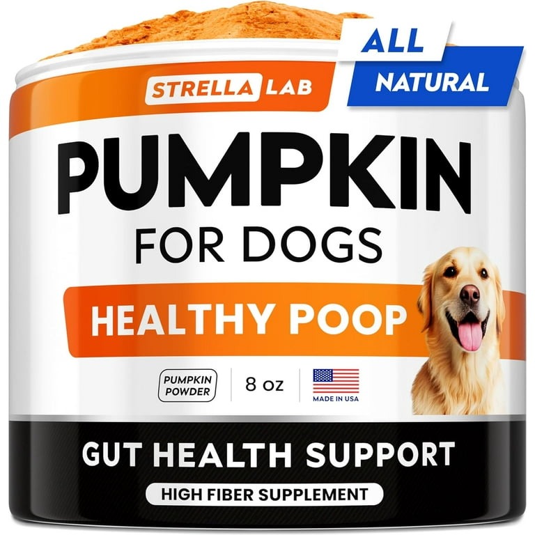 dog diarrhea diet