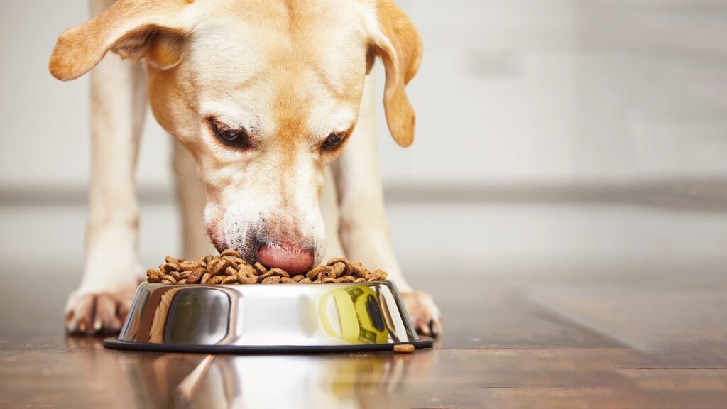 posh nosh dog food benefits