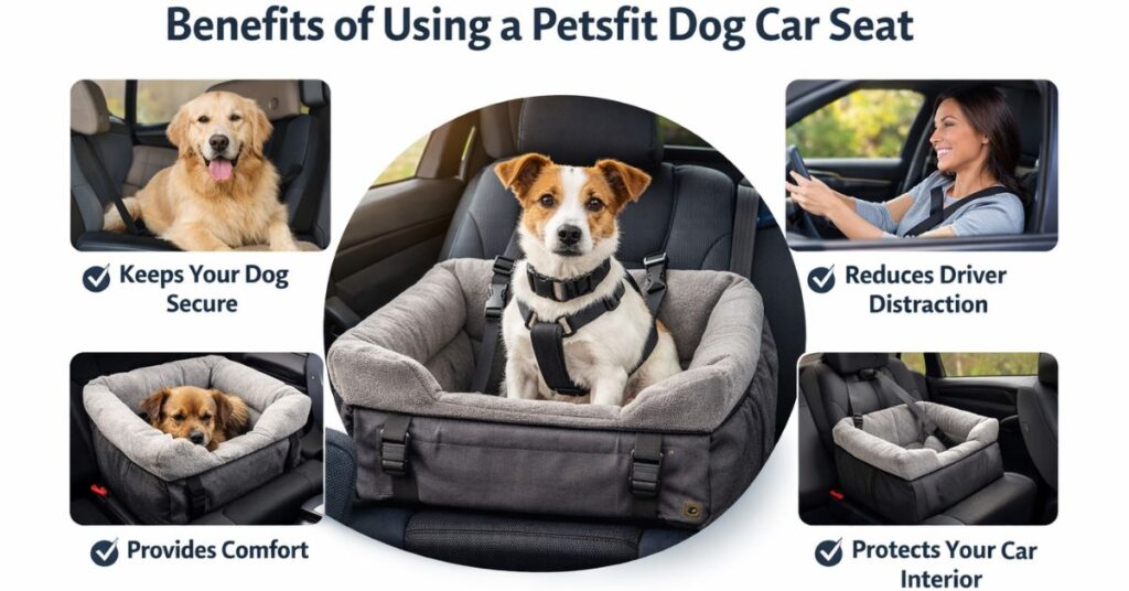 safe dog travel seat