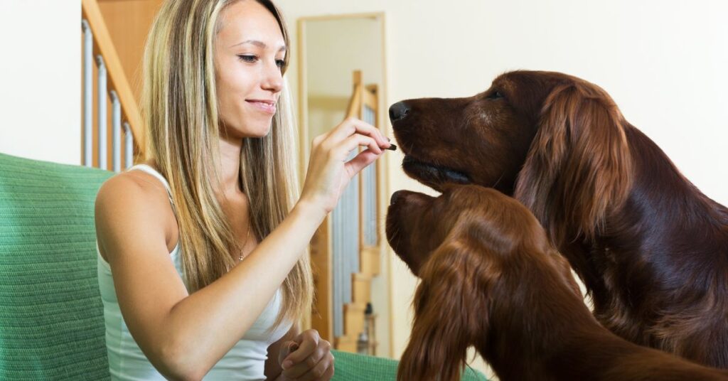 collagen chews for dogs