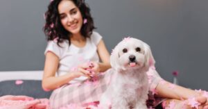 dog grooming near me