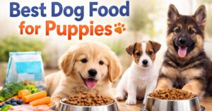 best dog food for puppies