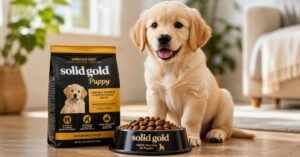 solid gold puppy food